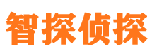 辽中侦探公司